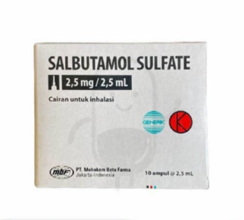 SALBUTAMOL SULFATE MAHAKAM 1 MG/ML INHALASI 2.5 ML BOX 10 AMPUL