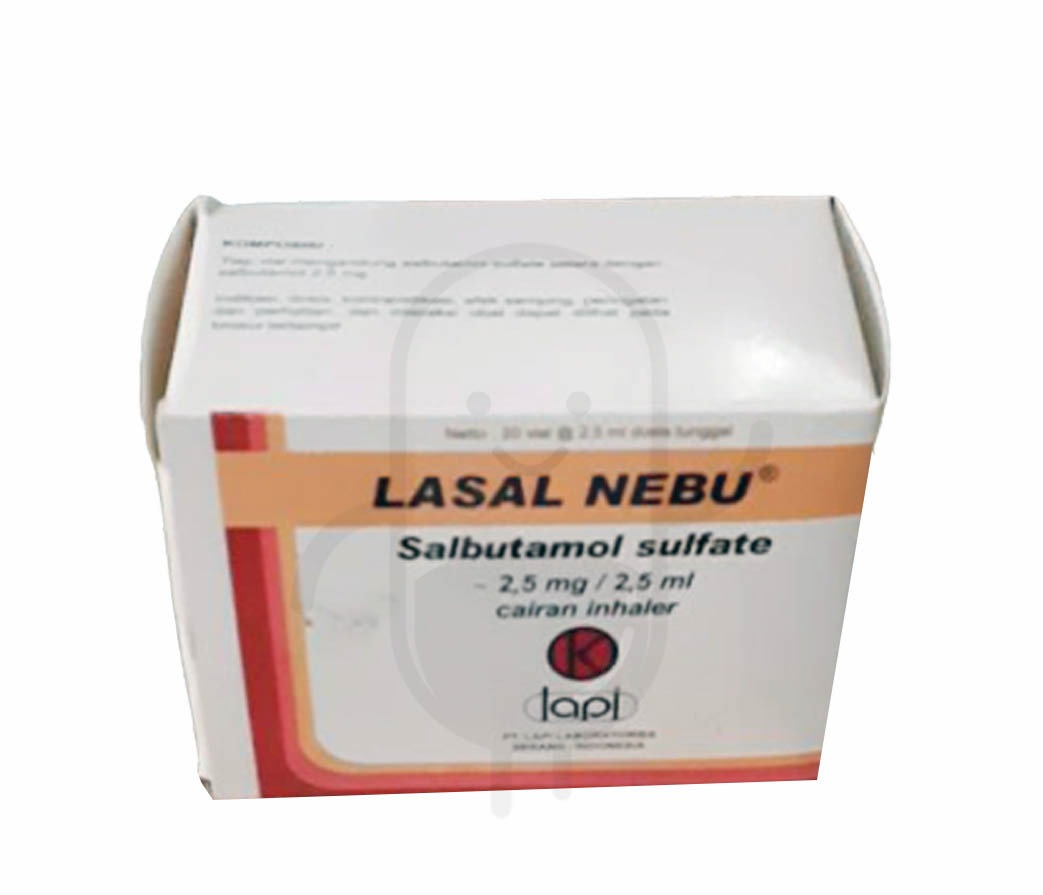 LASAL NEBU 2.5 MG/ 2.5 ML CAIRAN INHALER 2.5 ML BOX 20 VIAL