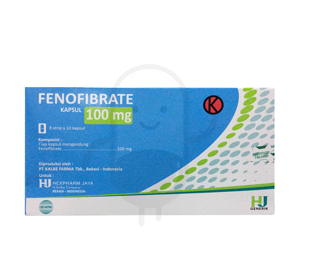FENOFIBRATE HEXPHARM 100 MG BOX 30 KAPSUL