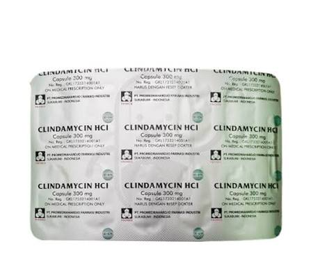 CLINDAMYCIN HCL 300 MG PROMEDRAHARDJO STRIP 10 KAPSUL